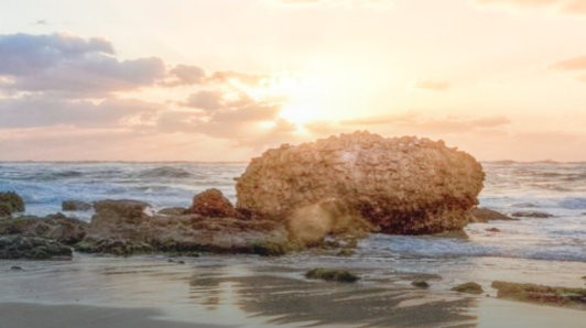 lehu - 乐虎 -(88国际)唯一官方网站