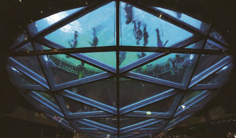 lehu - 乐虎 -(88国际)唯一官方网站